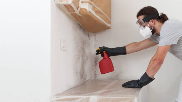 Professional Hvac And Air Duct Mold Remediation technician working in Lawrenceville, NJ